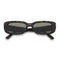 Dollin / Cape Tortoise & Dune Lens
